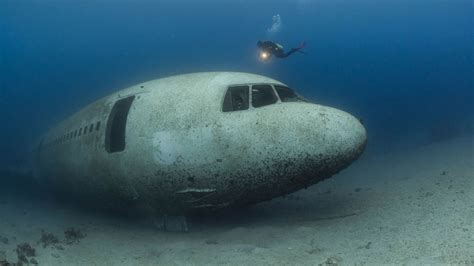 plane found at sea